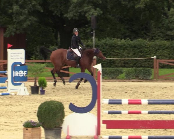 Equus Colonius - Reitanlage Brüse Köln 2021