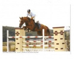 Zuchtstute Ariane Est (Belgisches Warmblut, 2000, von Elegant)