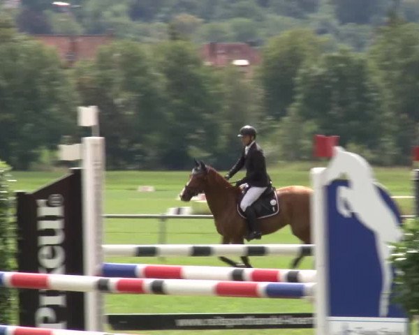 Reitturnier Bad Kissingen 2023