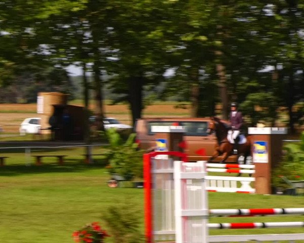 Reitturnier Zobbenitz 2023