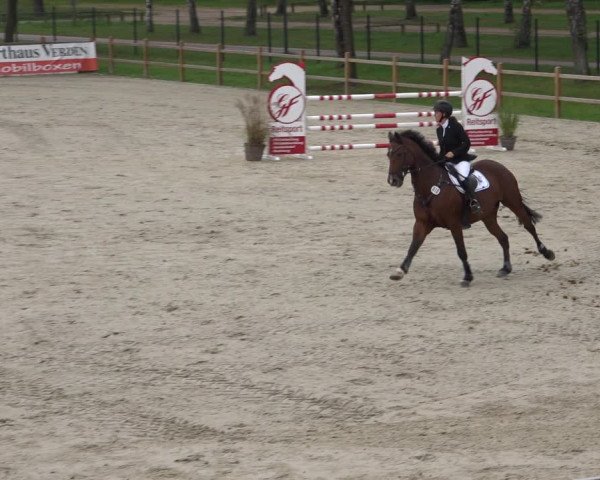 Reitturnier Westergellersen 2021