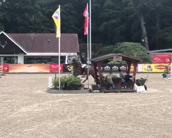 Video of Qwendoline