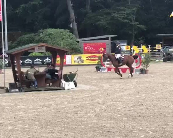 Video of Qwendoline