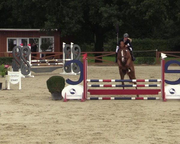 Equus Colonius - Reitanlage Brüse Köln 2021