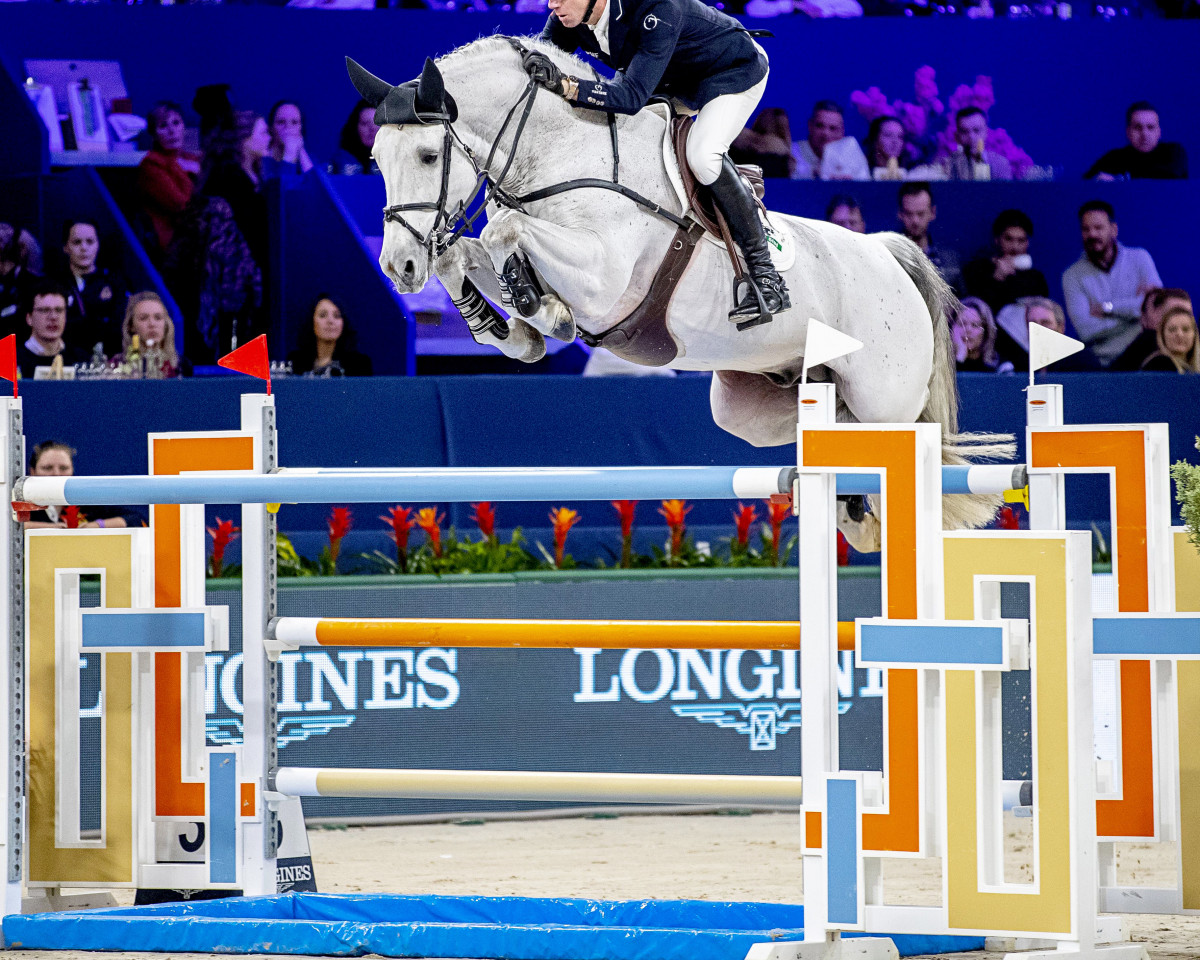 stallion Dallas VDL Z (Belgian Warmblood, 2008, from Douglas)