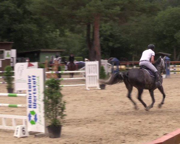 Reitturnier Arnsberg-Holzen 2023