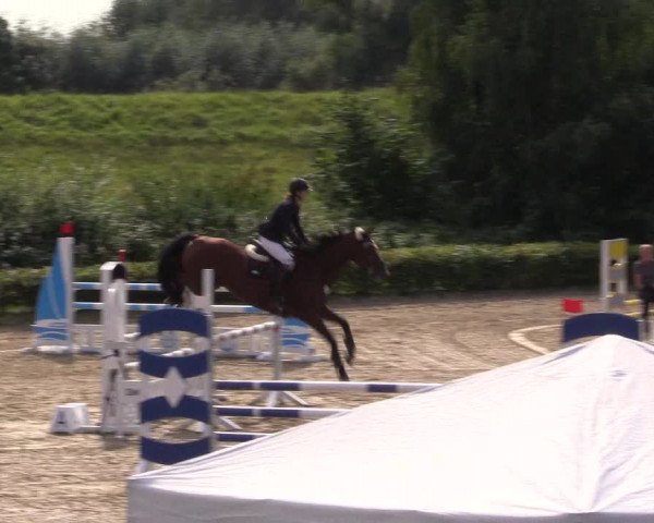 Spring Late Entry Gut Hohenkamp / Dorsten 2021