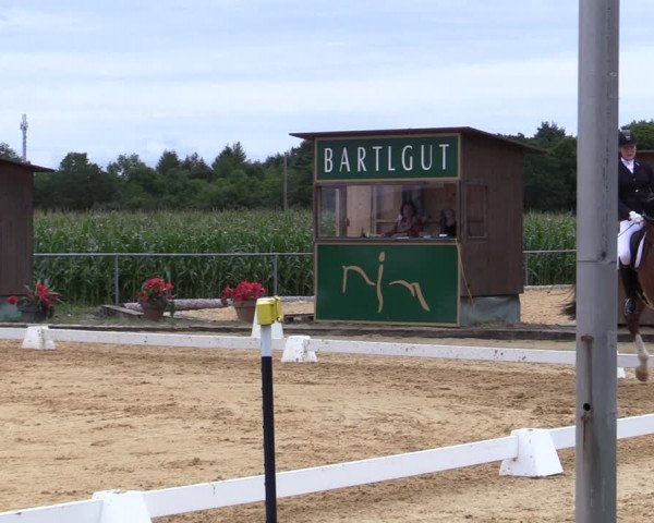Reitturnier Ranshofen - Braunau am Inn 2023