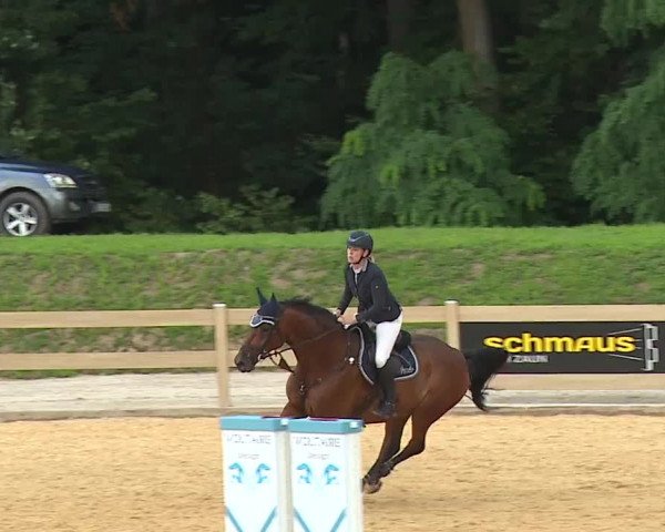 Reitturnier Tiefenhof 2023