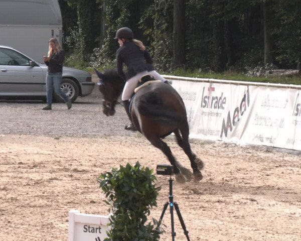 Reitturnier Ranshofen - Braunau am Inn 2023