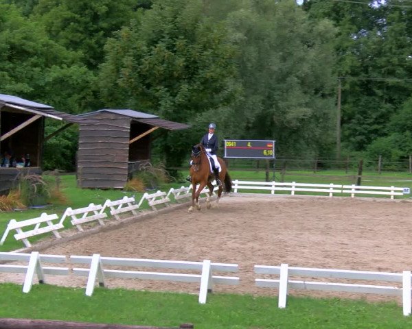 Reitturnier Nettetal-Lobberich 2023