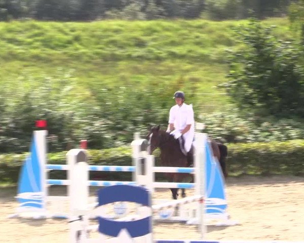 Spring Late Entry Gut Hohenkamp / Dorsten 2021