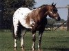 horse High Hand Rock (unknown,  )