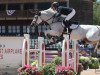 jumper Jenni's Chance (Belgian Warmblood, 2009, from Clinton)