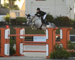 broodmare Coconet (Oldenburg show jumper, 2014, from Colman)