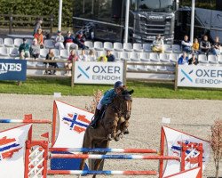 jumper Gabalier HRH (Hanoverian, 2012, from Gavi)