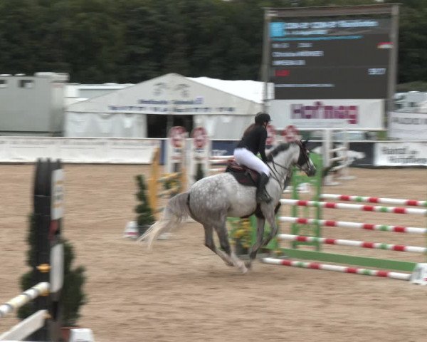Reitturnier Ranshofen - Braunau am Inn 2023