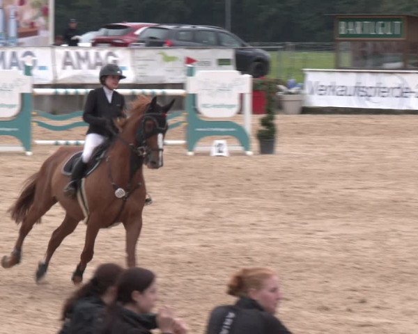 Reitturnier Ranshofen - Braunau am Inn 2023