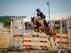 broodmare Mary Poppins Wg (German Riding Pony, 2006, from Mentos)