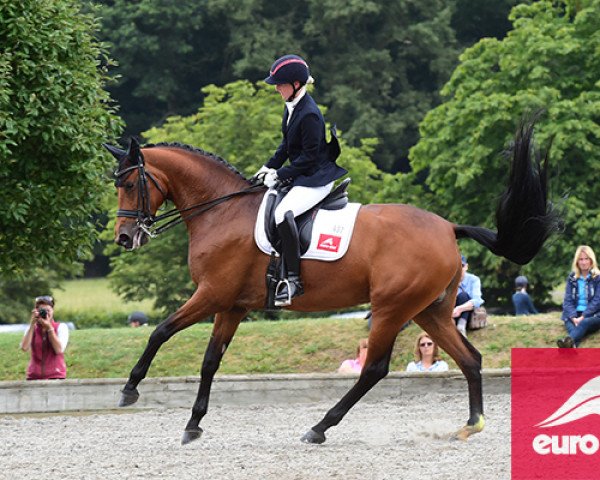 broodmare Dolcevendy.O (KWPN (Royal Dutch Sporthorse), 2008, from Lord Leatherdale)