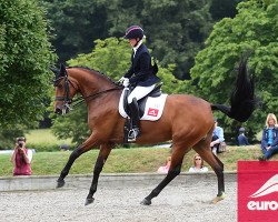 Zuchtstute Dolcevendy.O (KWPN (Niederländisches Warmblut), 2008, von Lord Leatherdale)