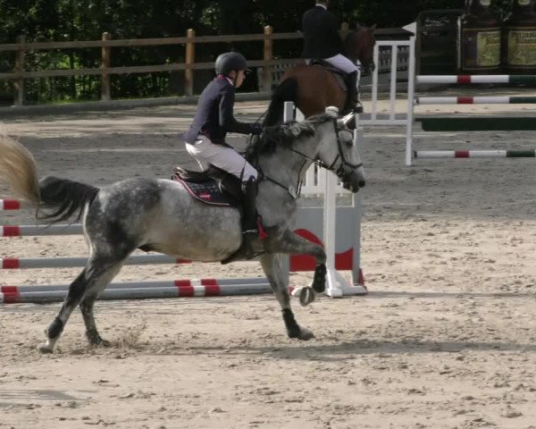 Reitturnier Alvern 2023
