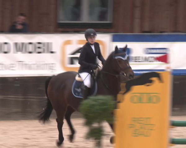 Reitturnier Ranshofen - Braunau am Inn 2023