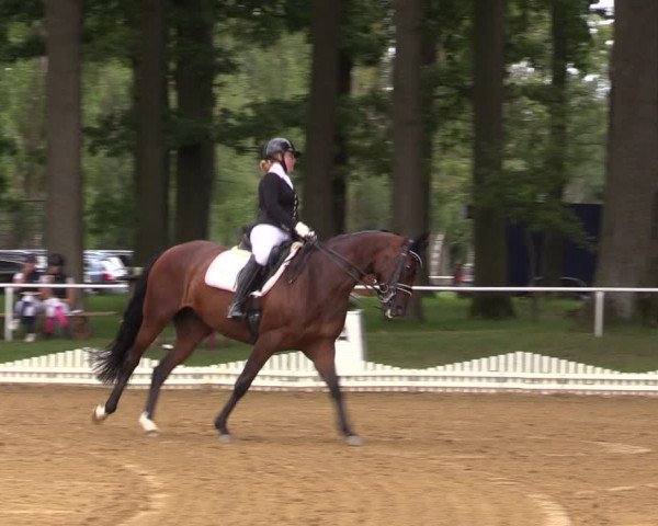 Reitturnier Zobbenitz 2023