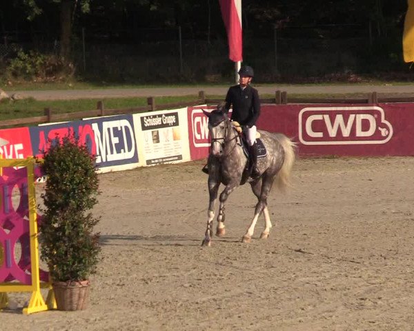 Reitturnier Westergellersen 2021