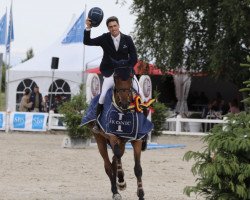 jumper Chacco's Cherry PS (Oldenburg show jumper, 2011, from Chacco-Blue)