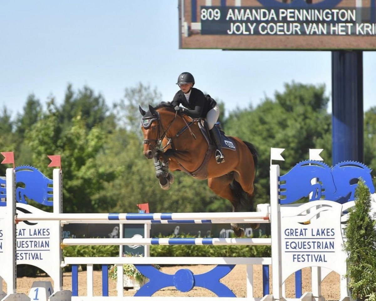 jumper Joly Coeur van het Kriekenhof (Belgian Warmblood, 2009, from Toulon)