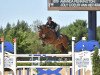 jumper Joly Coeur van het Kriekenhof (Belgian Warmblood, 2009, from Toulon)