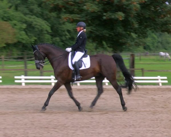 Reitturnier Nettetal-Lobberich 2023