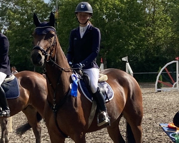 jumper Arielle 424 (German Sport Horse, 2019, from Armison)