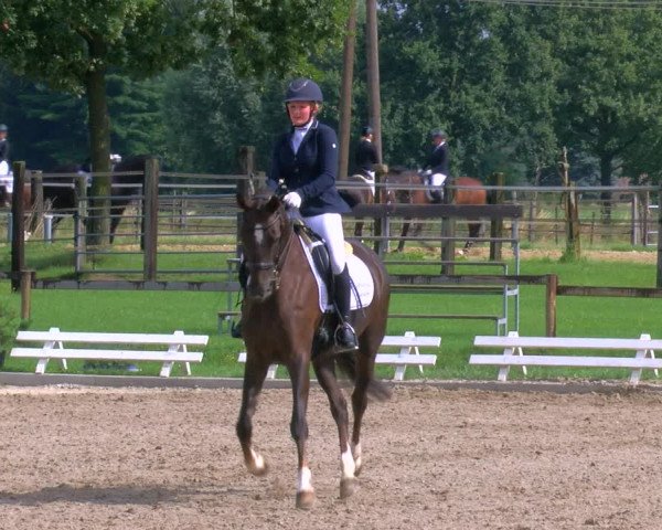 Reitturnier Nettetal-Lobberich 2023