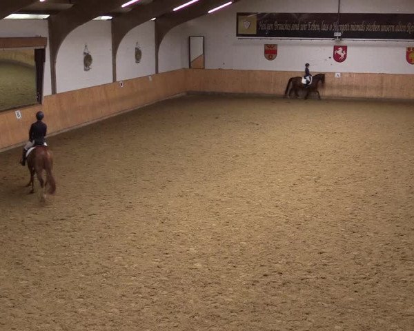 Reitturnier Olfen-Vinnum 2023