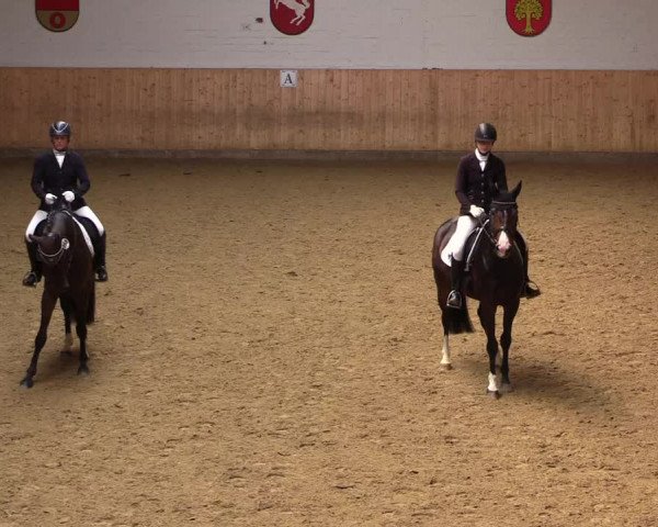 Reitturnier Olfen-Vinnum 2023