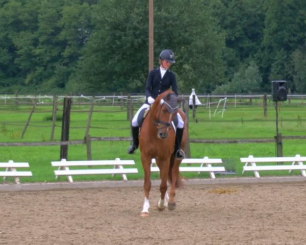 Reitturnier Nettetal-Lobberich 2023