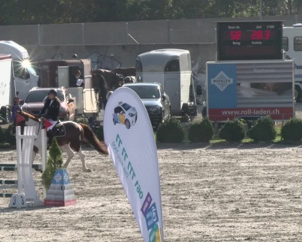 Reitturnier Basel Schänzli 2021