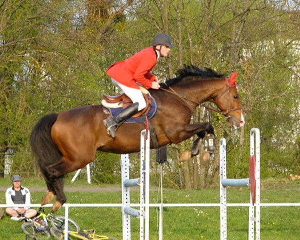 stallion Gadget du Banney (Selle Français, 1994, from Rêve d'Elle)