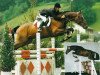 stallion Gagneur du Pichoux (Swiss Warmblood, 1990, from Galant)