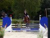 jumper Silvi 15 (Pony without race description, 2013, from Etoile de Lynx)