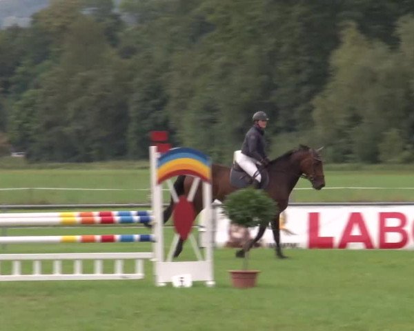 Reitturnier Bad Kissingen 2023