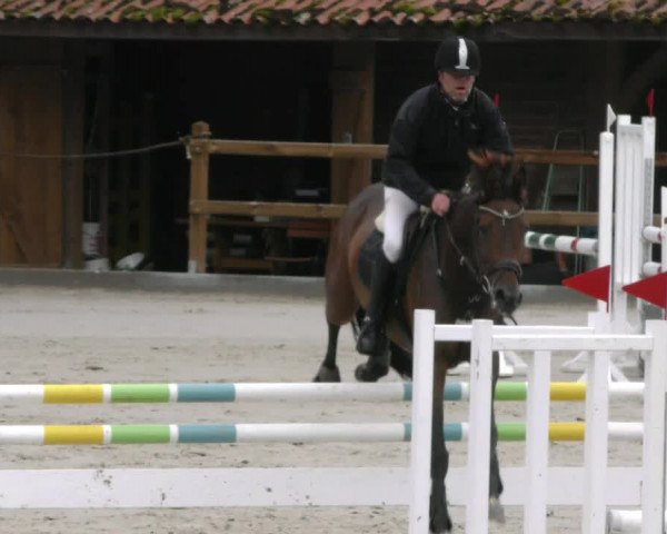 Reitturnier Alvern 2023