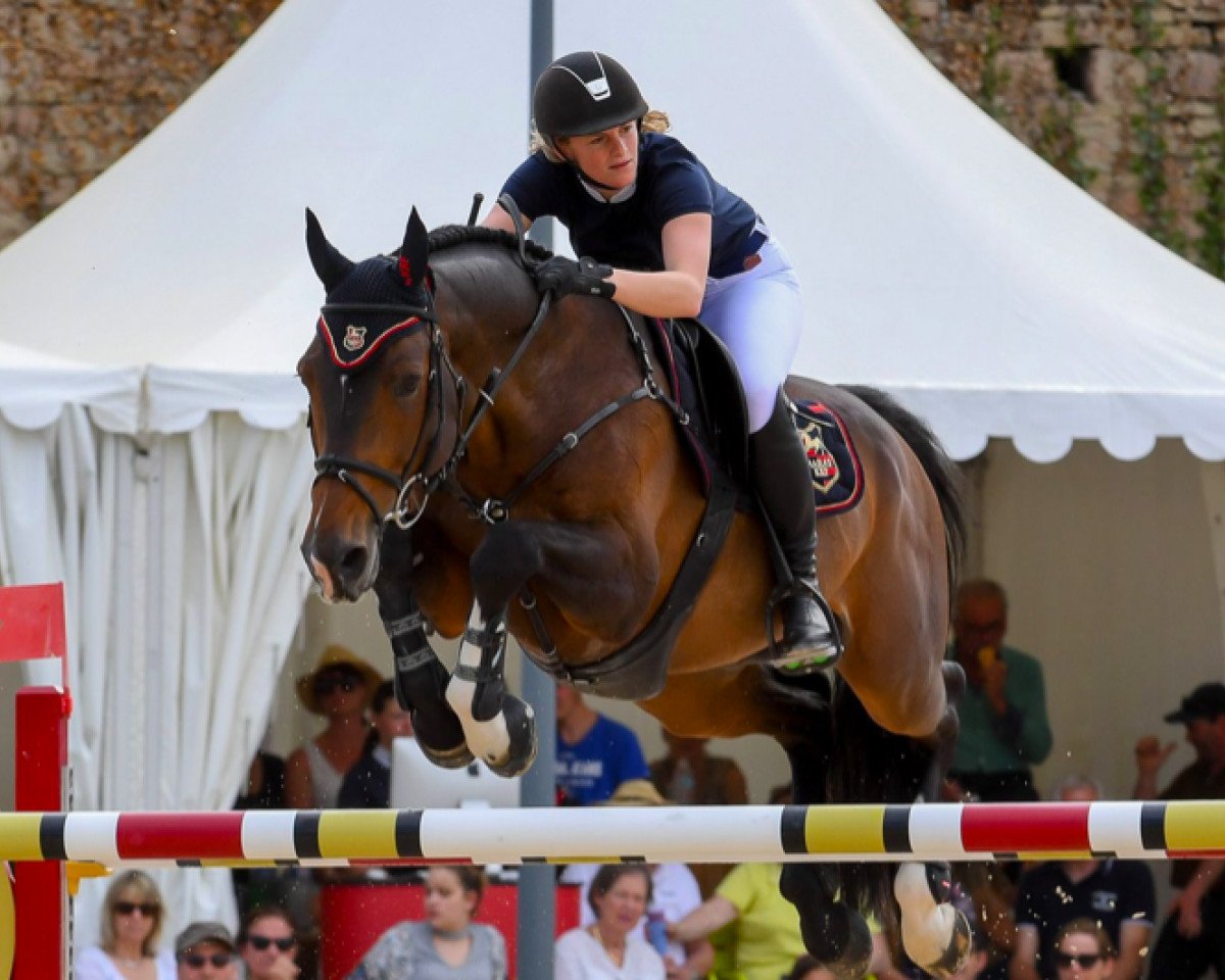 jumper Unser Prinz KRF (Selle Français, 2008, from Calvaro Z)