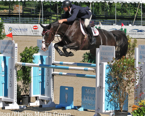 jumper Fay Lovsky S.v.l. (KWPN (Royal Dutch Sporthorse), 2010, from Ustinov)