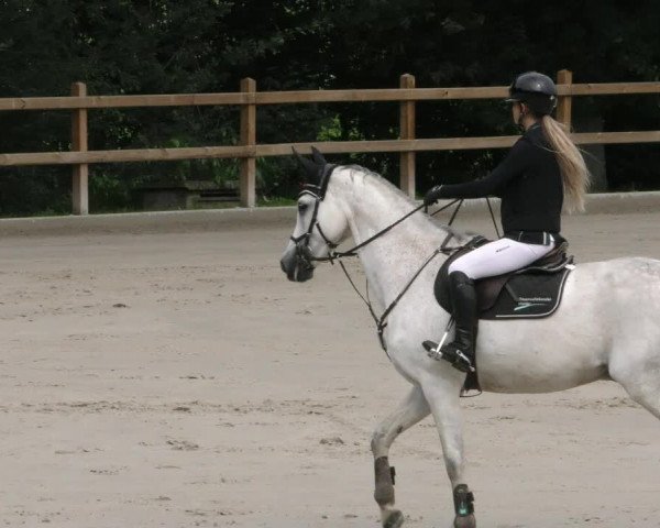 Reitturnier Alvern 2023