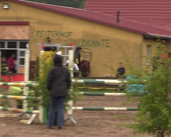 Reitturnier Altlandsberg 2023