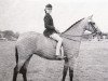 Zuchtstute Prosperity of Catherston (British Riding Pony, 1959, von Bubbly)