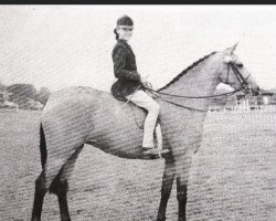 broodmare Prosperity of Catherston (British Riding Pony, 1959, from Bubbly)